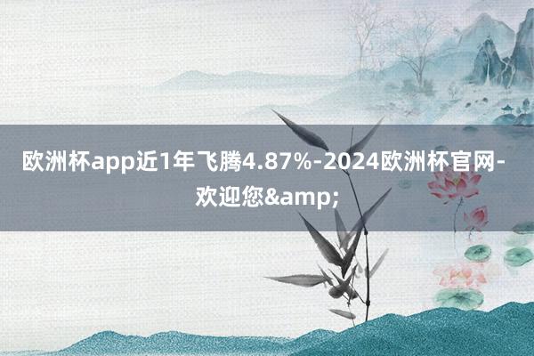 欧洲杯app近1年飞腾4.87%-2024欧洲杯官网- 欢迎您&