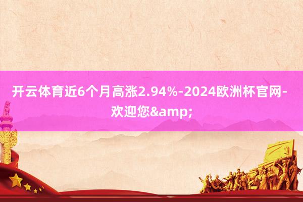 开云体育近6个月高涨2.94%-2024欧洲杯官网- 欢迎您&