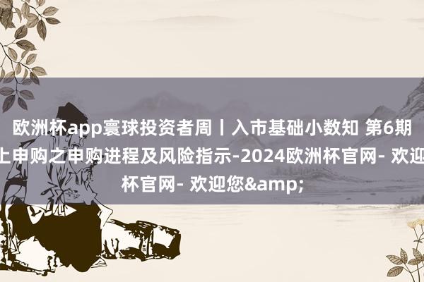 欧洲杯app寰球投资者周丨入市基础小数知 第6期：新股网上申购之申购进程及风险指示-2024欧洲杯官网- 欢迎您&