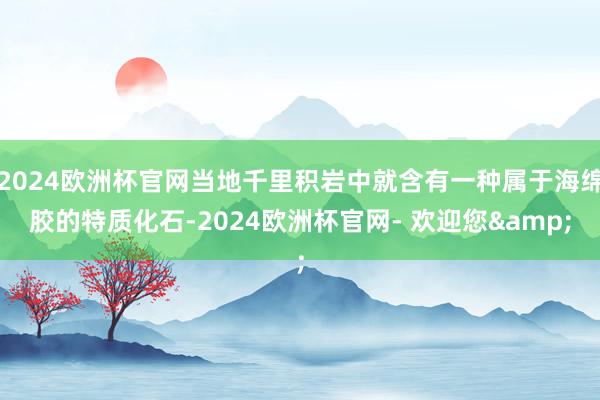 2024欧洲杯官网当地千里积岩中就含有一种属于海绵胶的特质化石-2024欧洲杯官网- 欢迎您&