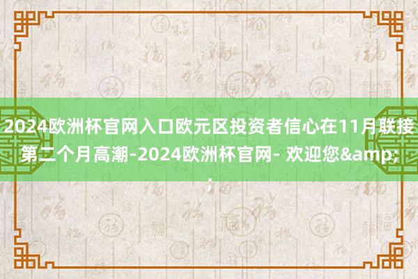 2024欧洲杯官网入口欧元区投资者信心在11月联接第二个月高潮-2024欧洲杯官网- 欢迎您&