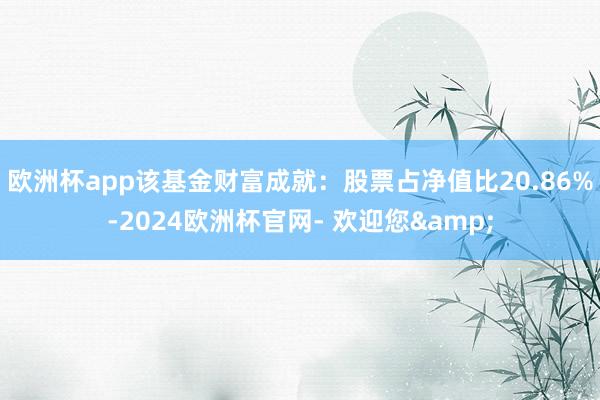 欧洲杯app该基金财富成就：股票占净值比20.86%-2024欧洲杯官网- 欢迎您&