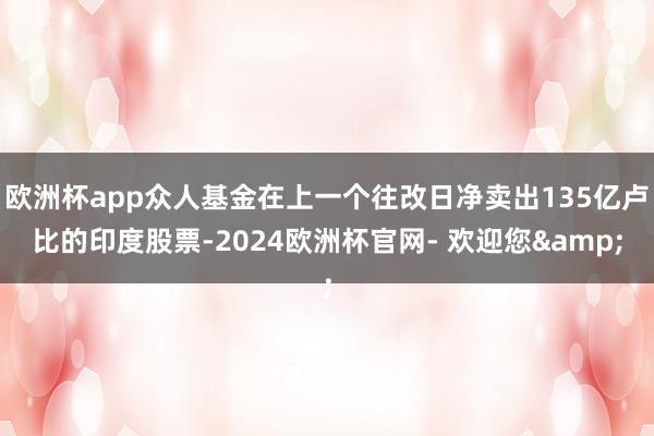 欧洲杯app众人基金在上一个往改日净卖出135亿卢比的印度股票-2024欧洲杯官网- 欢迎您&