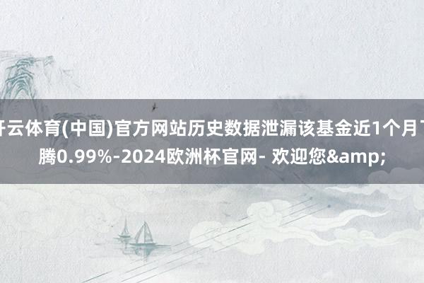 开云体育(中国)官方网站历史数据泄漏该基金近1个月飞腾0.99%-2024欧洲杯官网- 欢迎您&