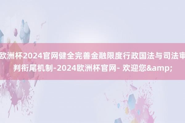 欧洲杯2024官网健全完善金融限度行政国法与司法审判衔尾机制-2024欧洲杯官网- 欢迎您&